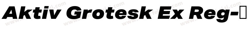 Aktiv Grotesk Ex Reg字体转换